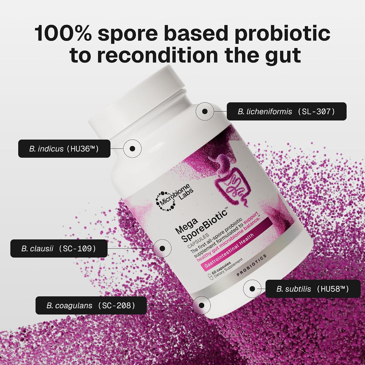 Shelf-Stable Probiotic for Men & Women
